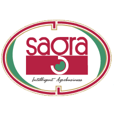 Sagra